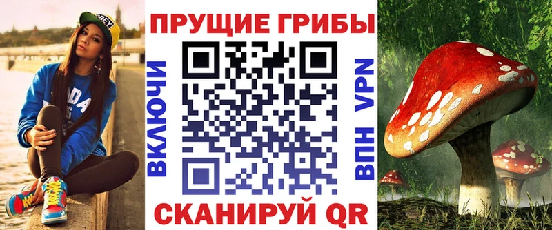 МЕГА зеркало  Апатиты  Псилоцибиновые грибы прущие грибы 